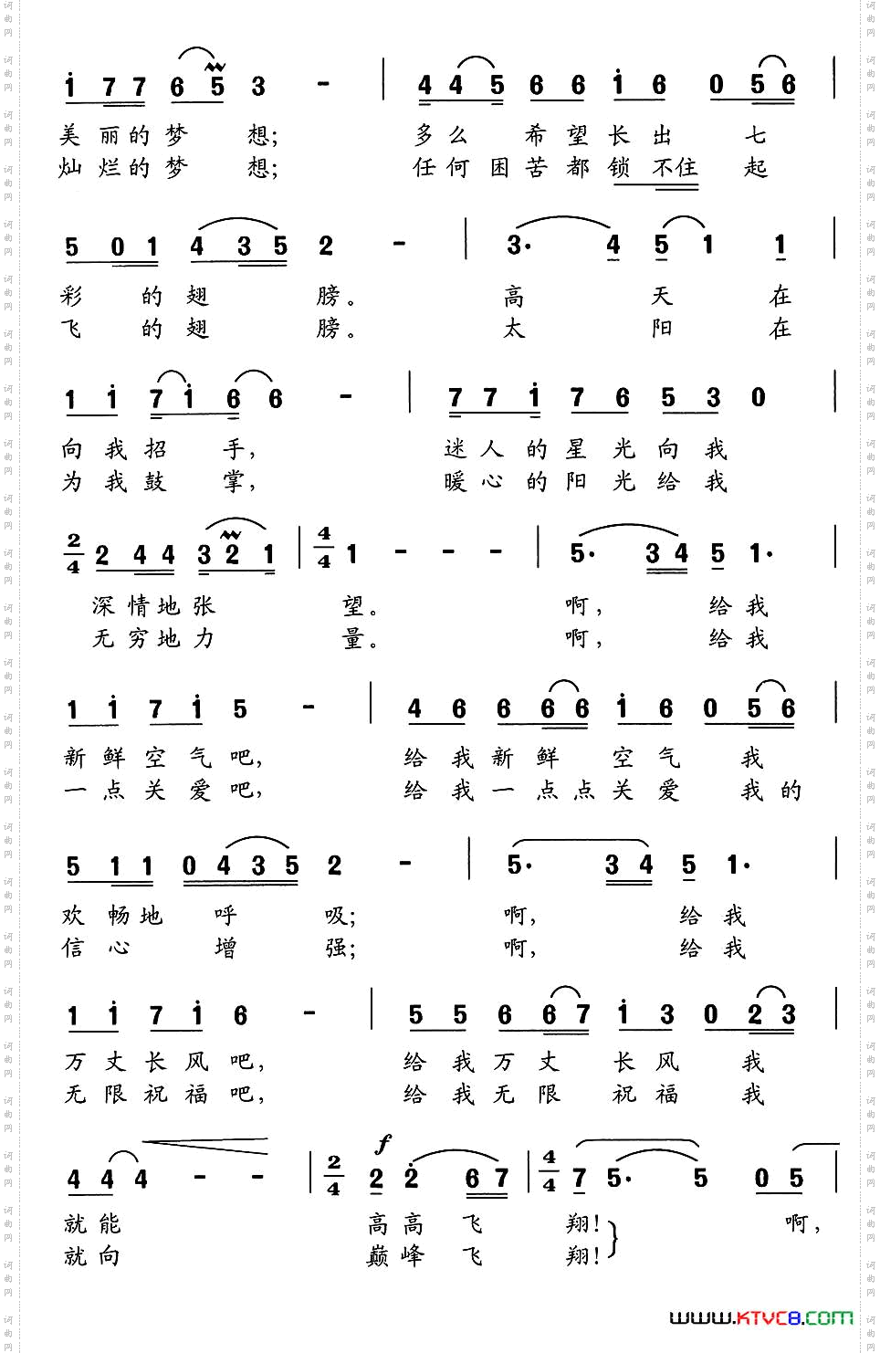 放飞梦想
