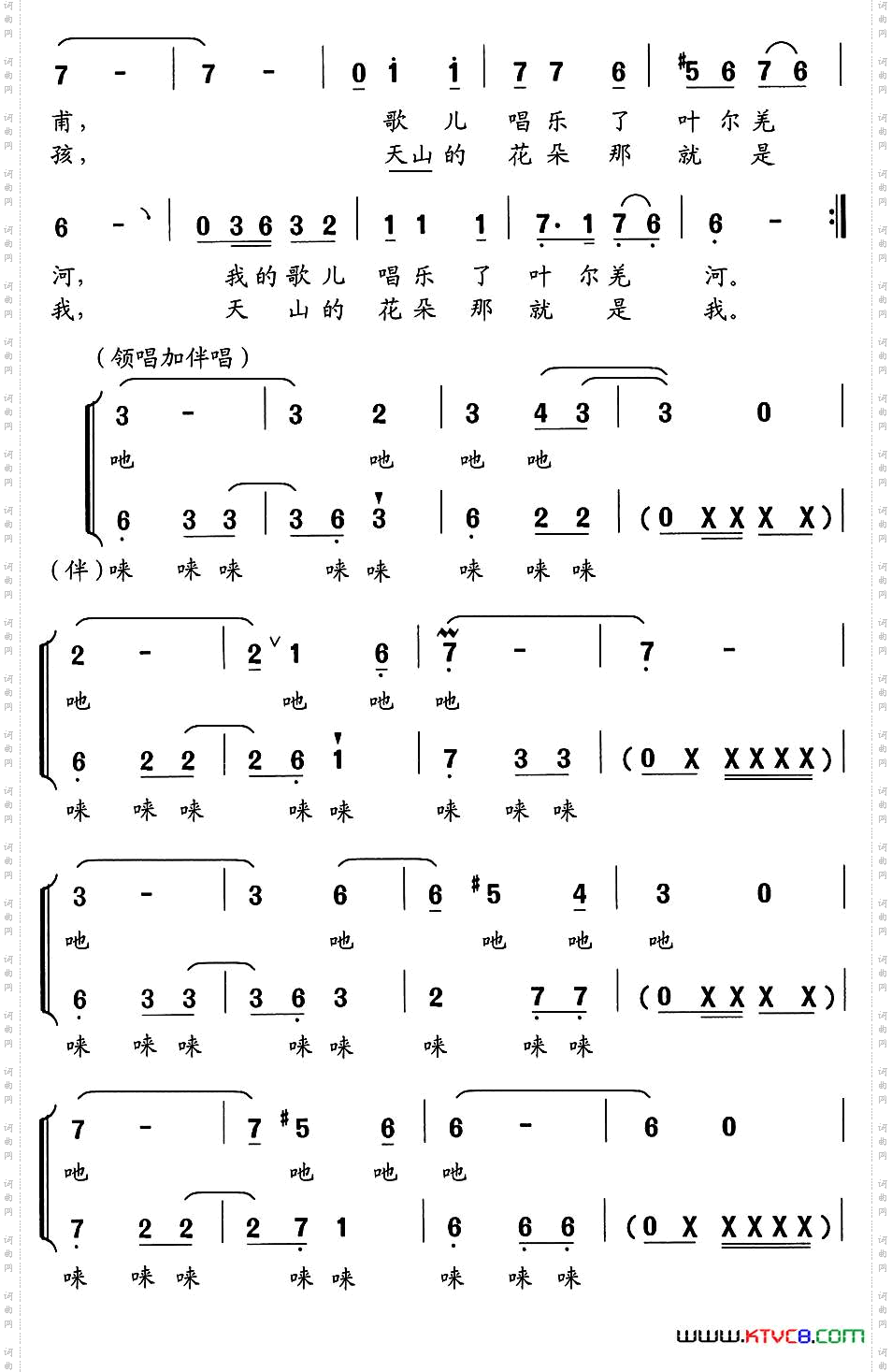 刀郎女孩