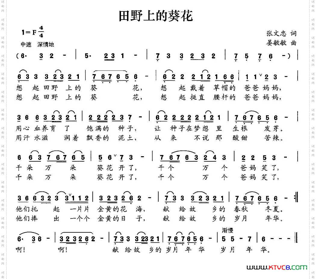 田野上的葵花