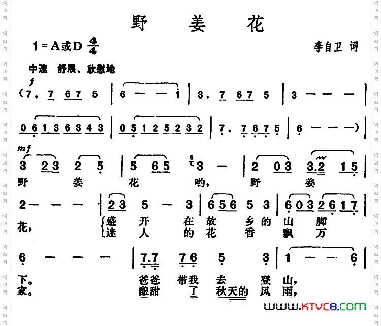 野姜花
