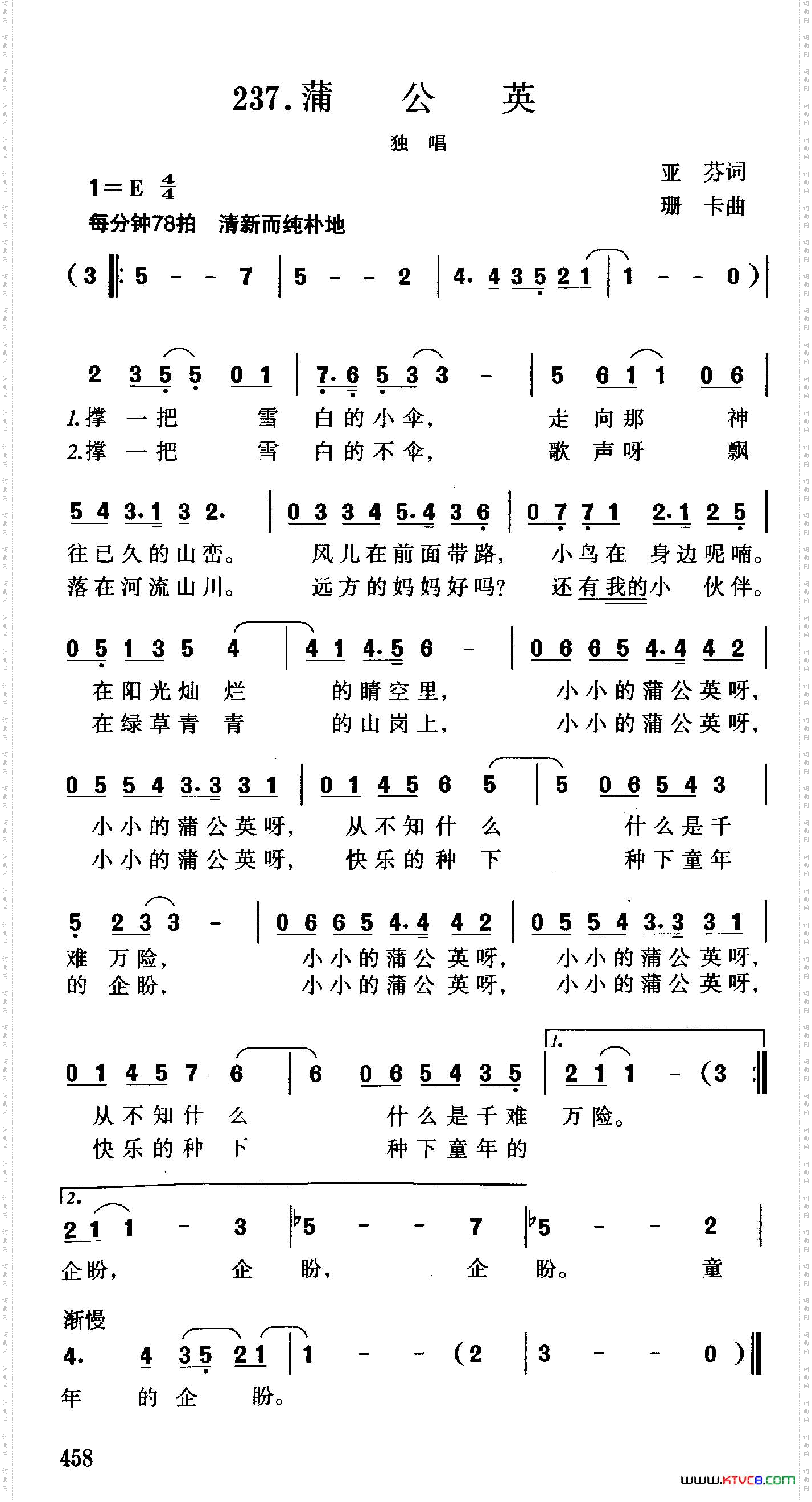 蒲公英