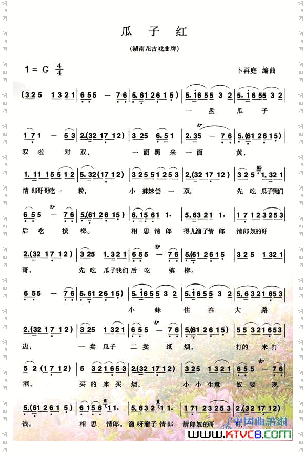 瓜子红