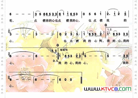 花一样的岁月花一样的年轮