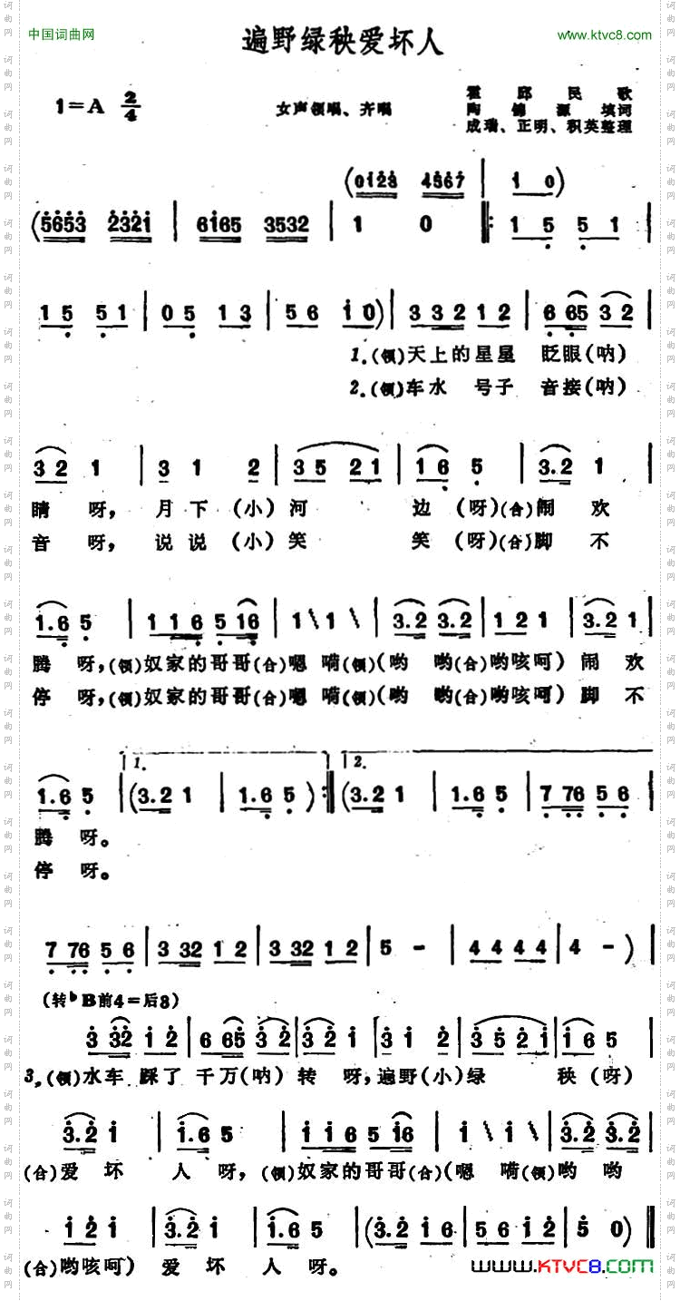 遍野绿秧爱坏人_ 安徽霍邱民歌