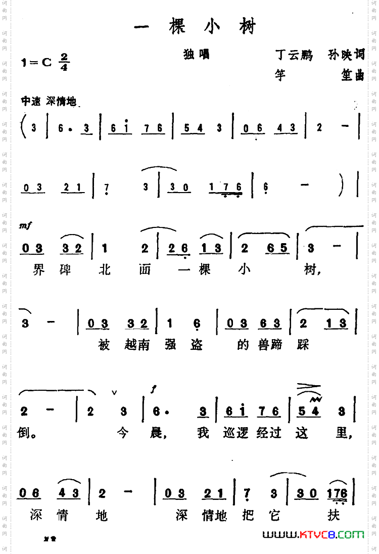 一棵小树