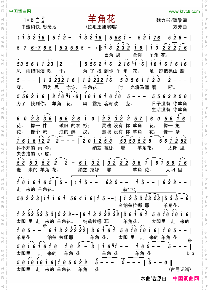 羊角花拉毛王旭