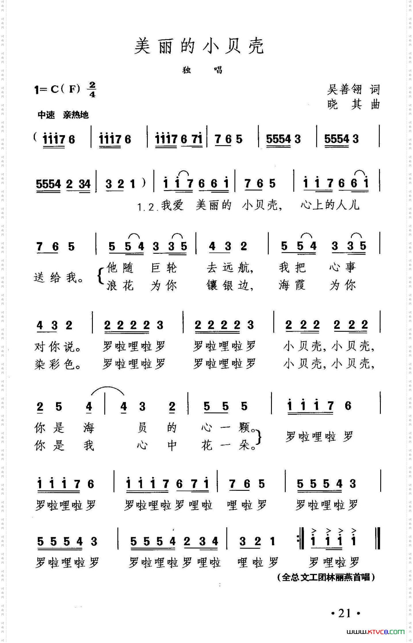 美丽的小贝壳