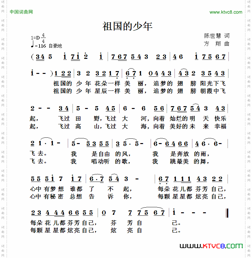 祖国的少年