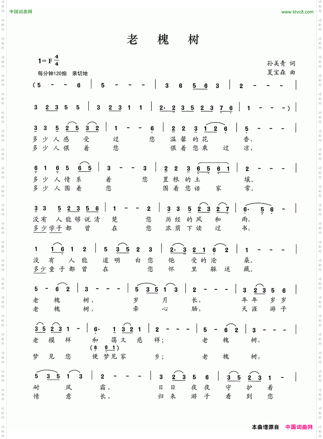 老槐树孙美青词夏宝森曲_老槐树孙美青词 夏宝森曲