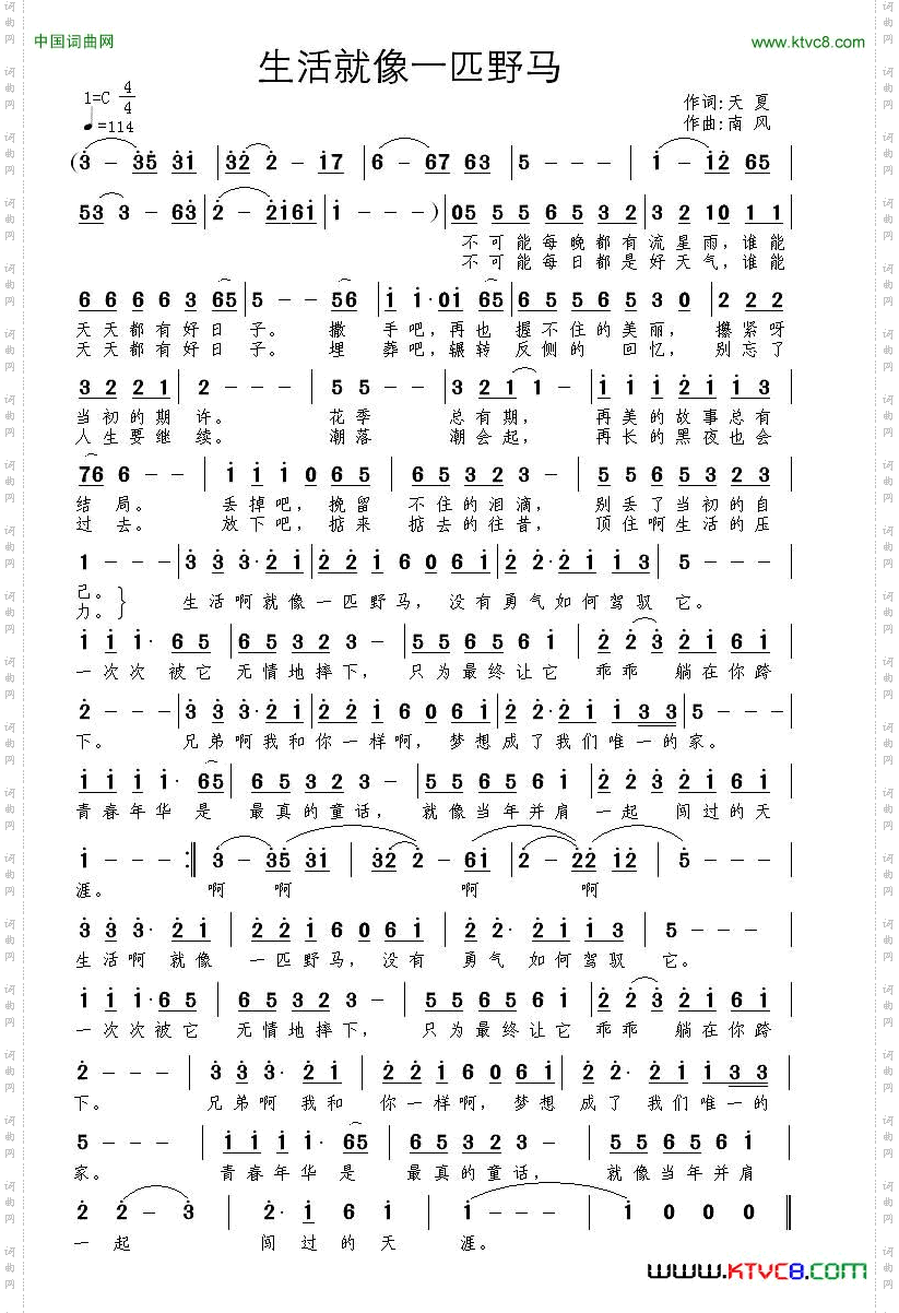 生活就像一匹野马