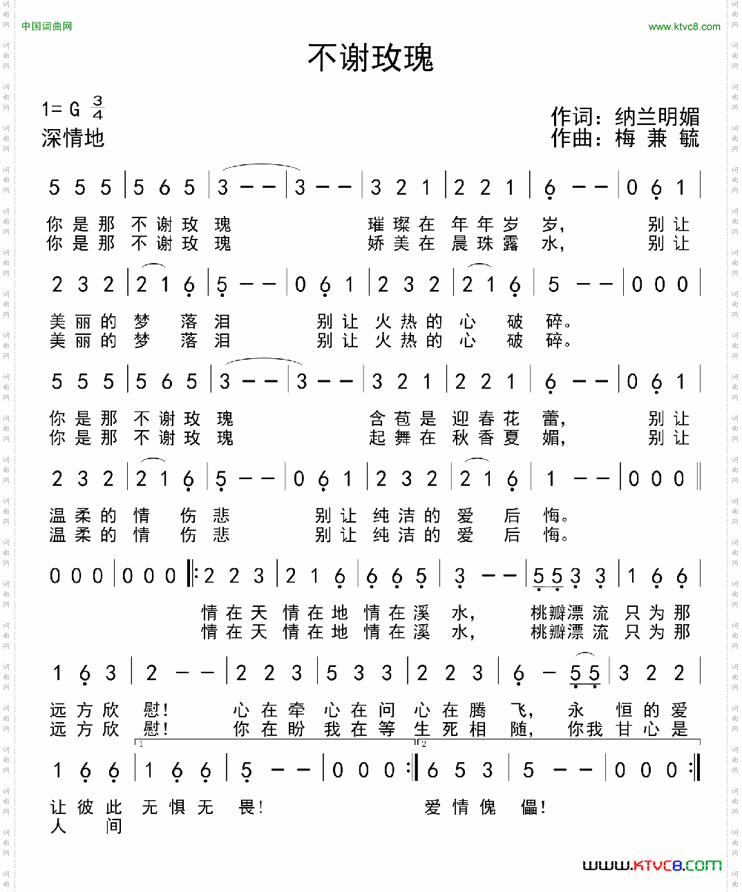 不谢玫瑰