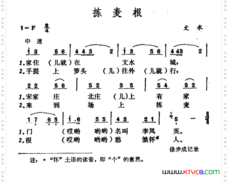 拣麦根