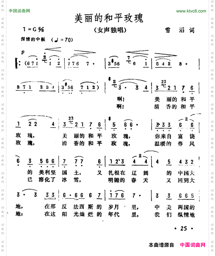 美丽的和平玫瑰