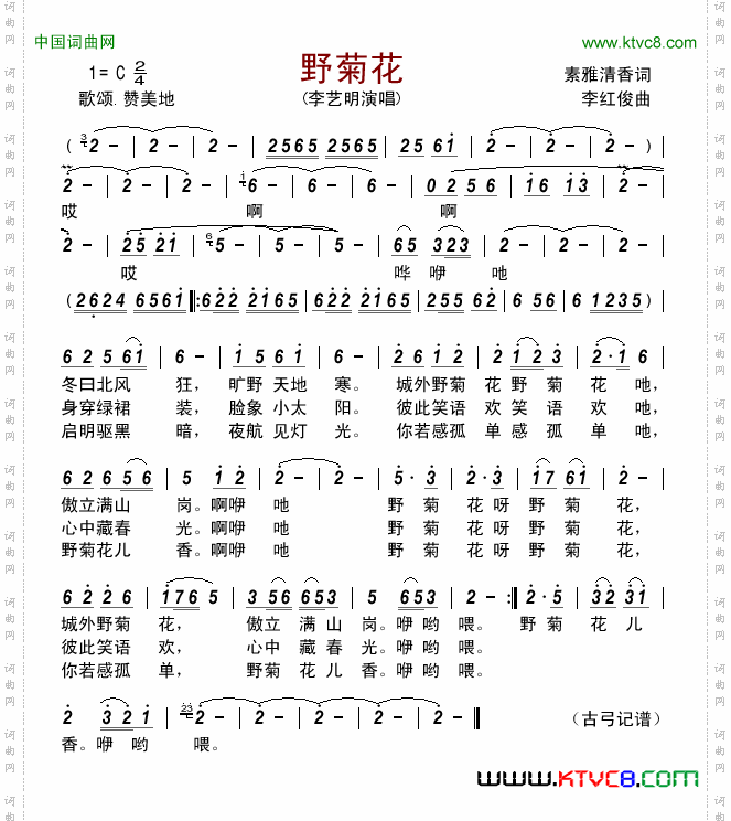 野菊花