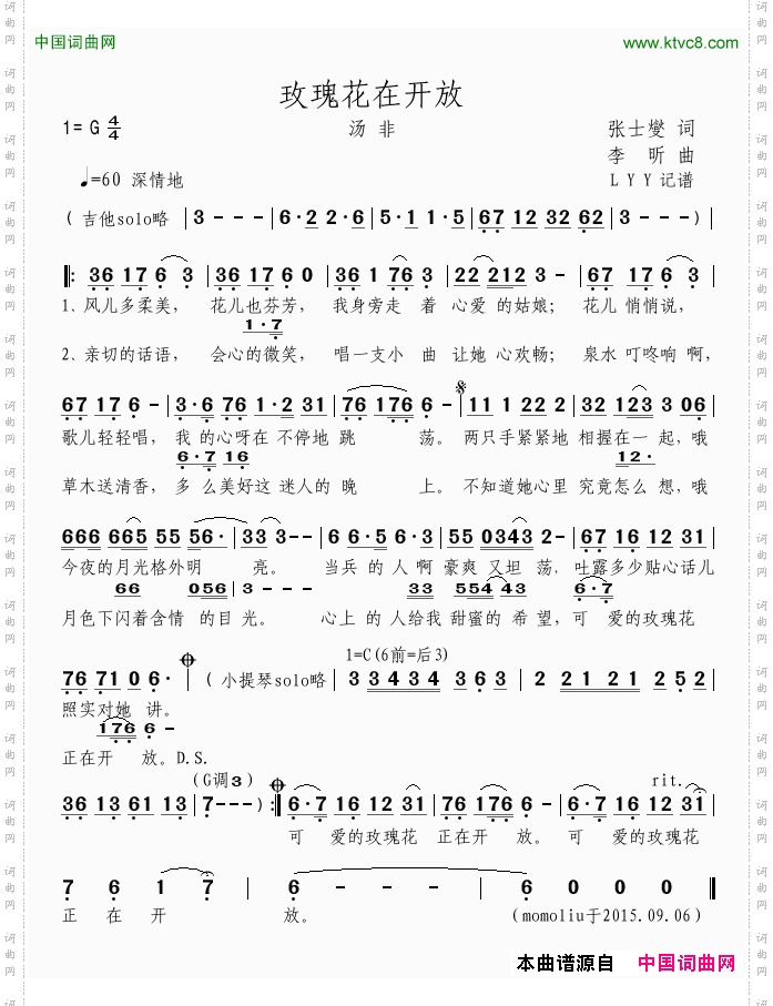 玫瑰花在开放