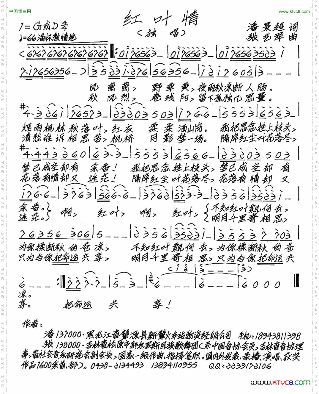 红叶情