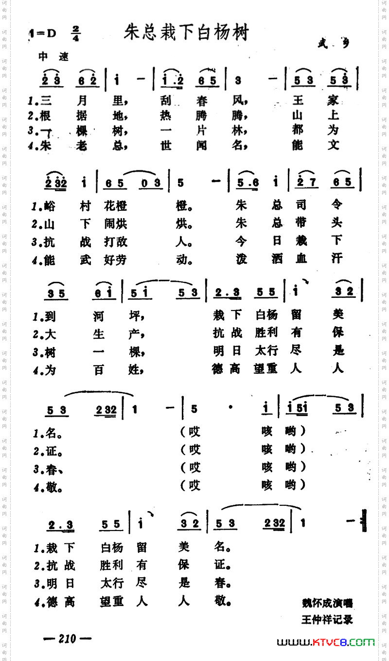 朱总栽下白杨树