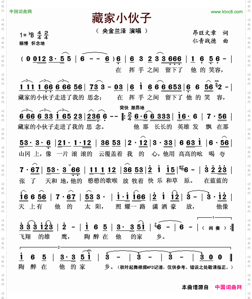 藏家小伙子