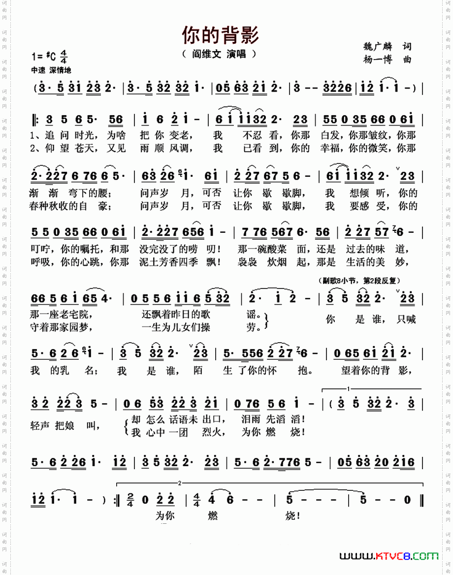 你的背影