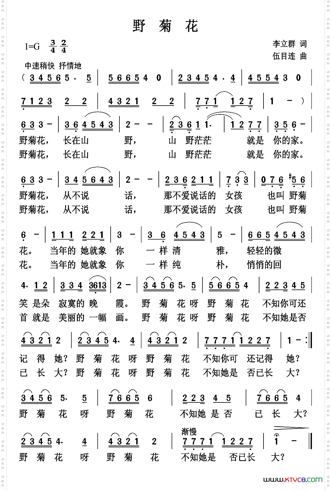 野菊花