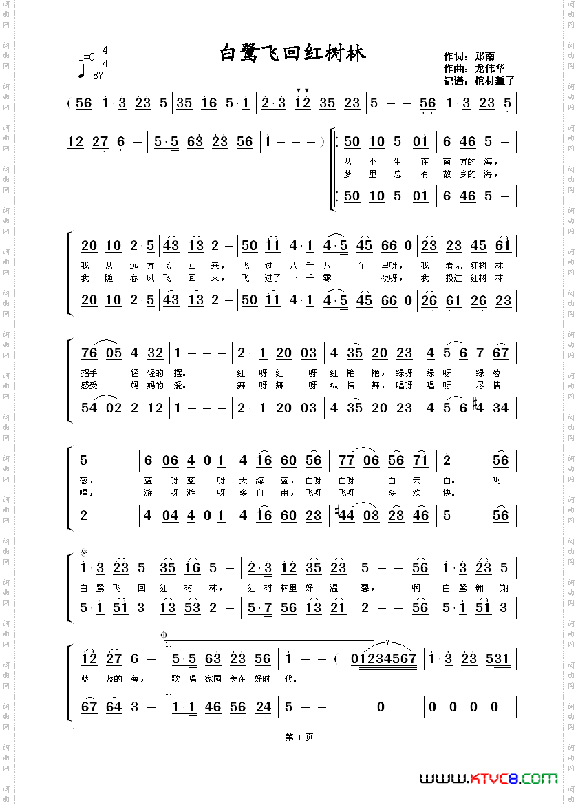 白鹭飞回红树林