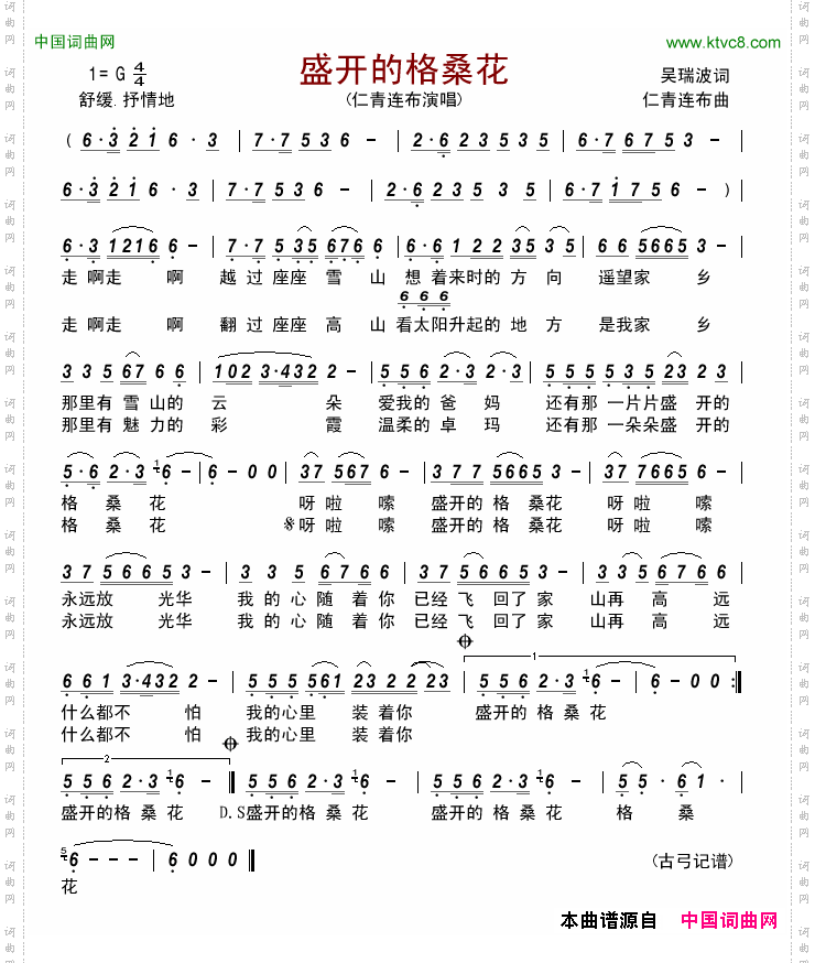 盛开的格桑花