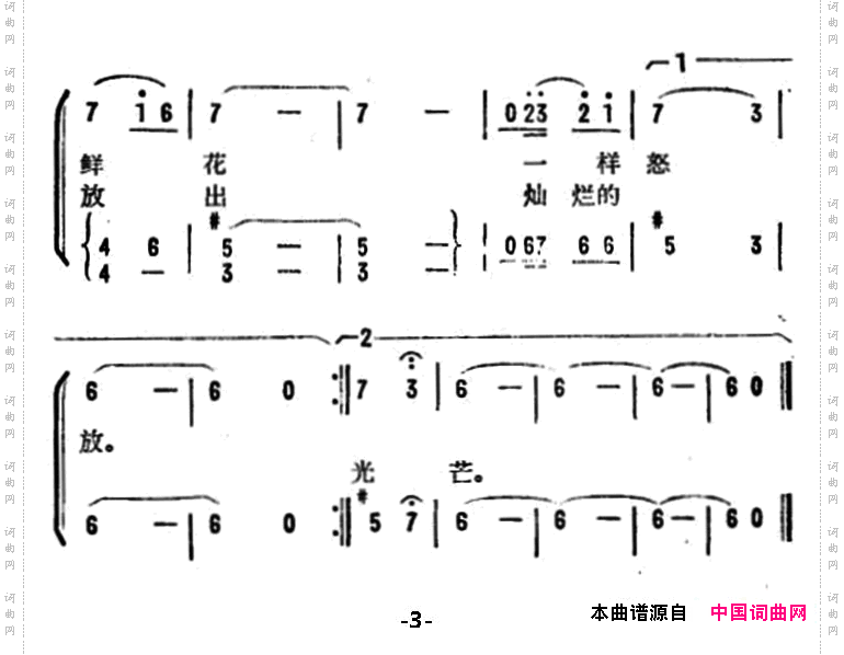 啊，光荣的护士民兵