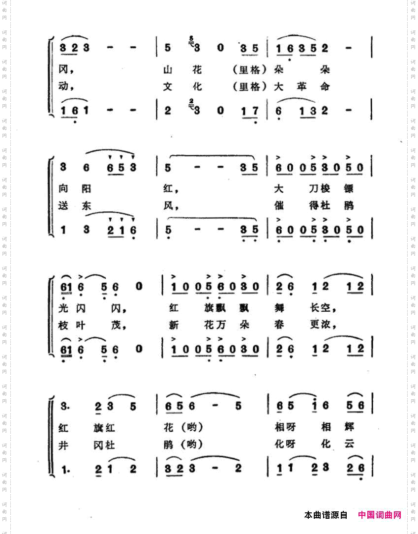 井冈杜鹃红