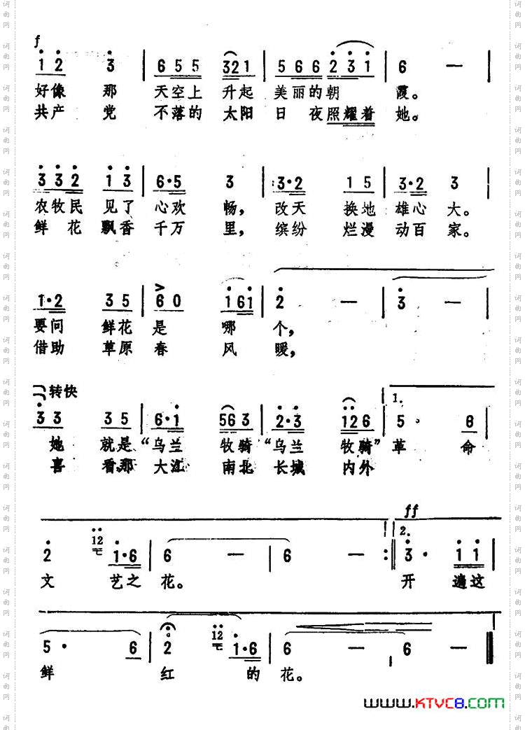 草原的鲜花