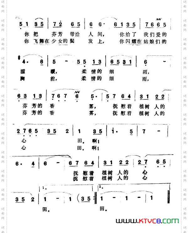 清香的白玉兰