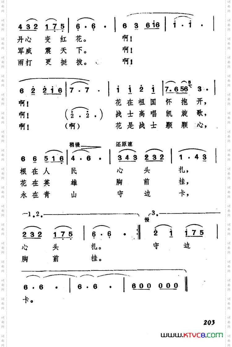 红花