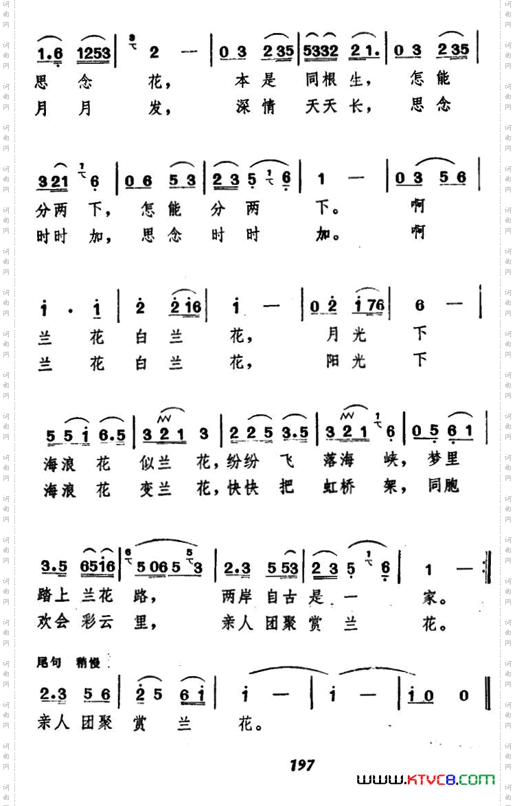 兰花