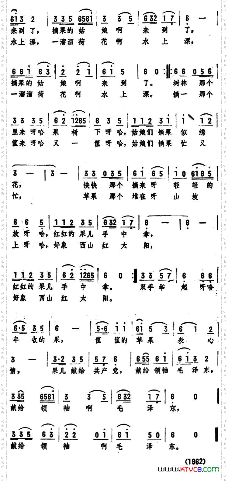 在果园里