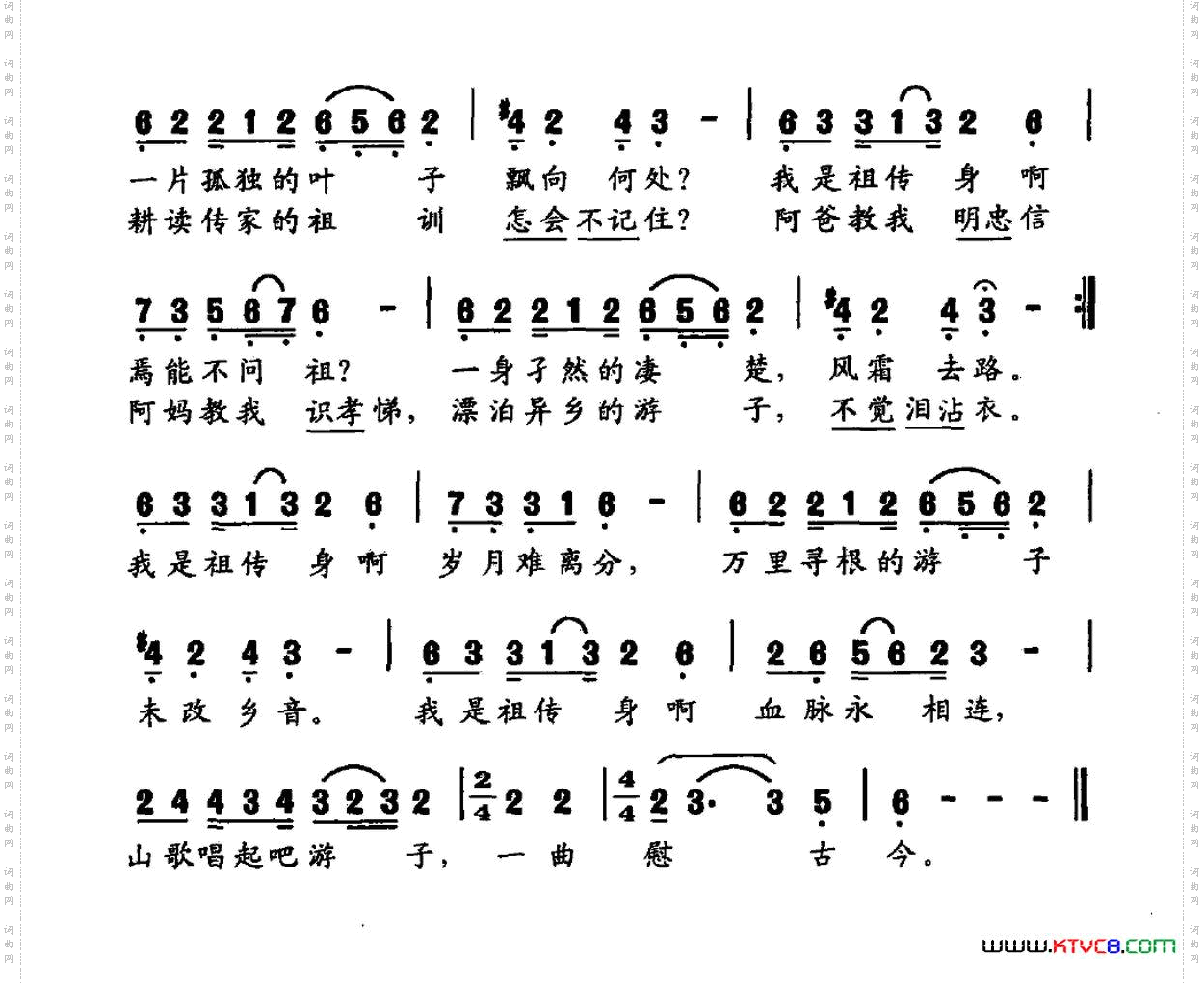 寻根谣