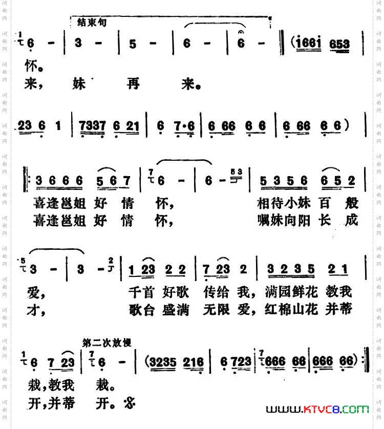 红棉山花并蒂开