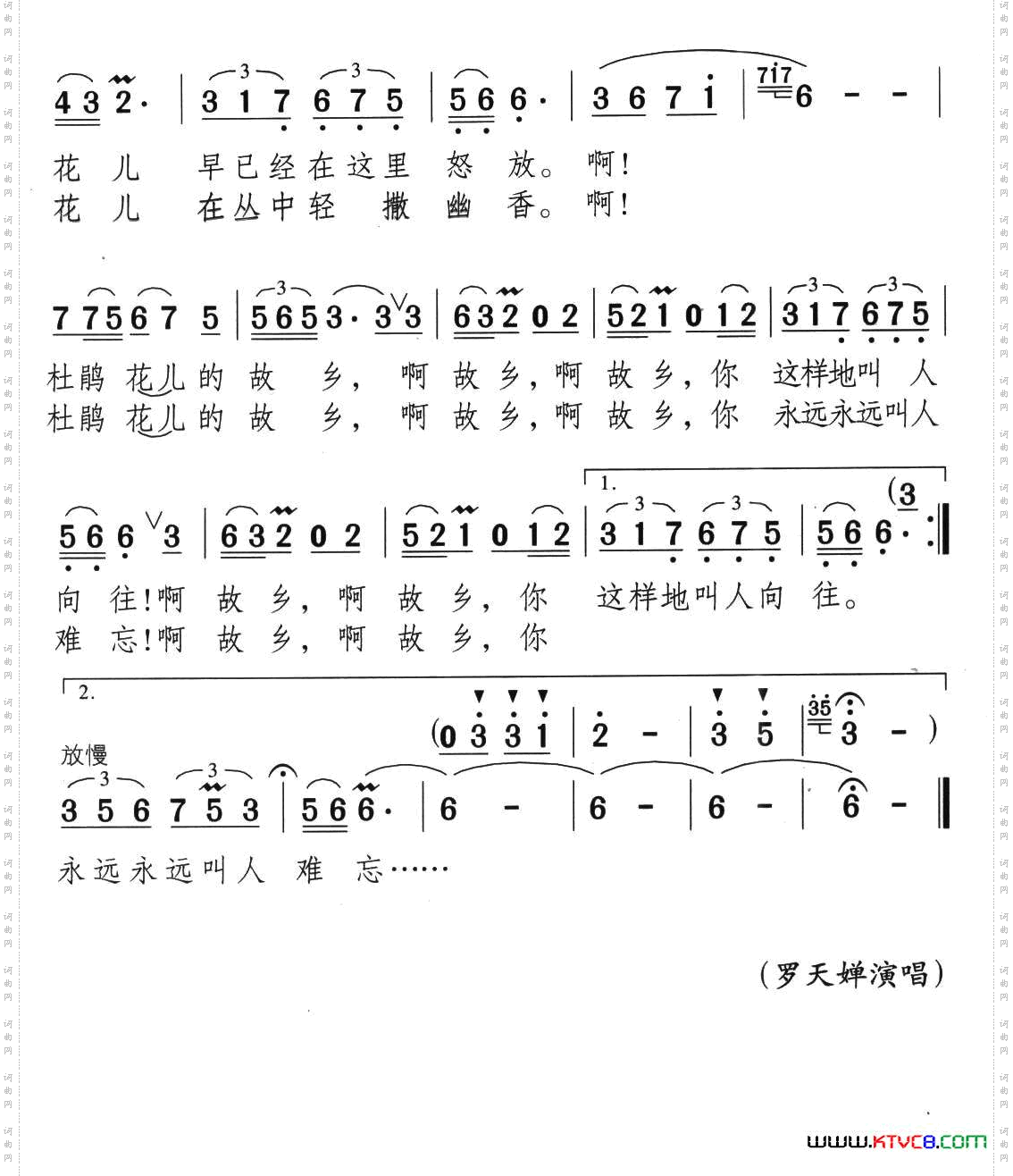 杜鹃花的故乡