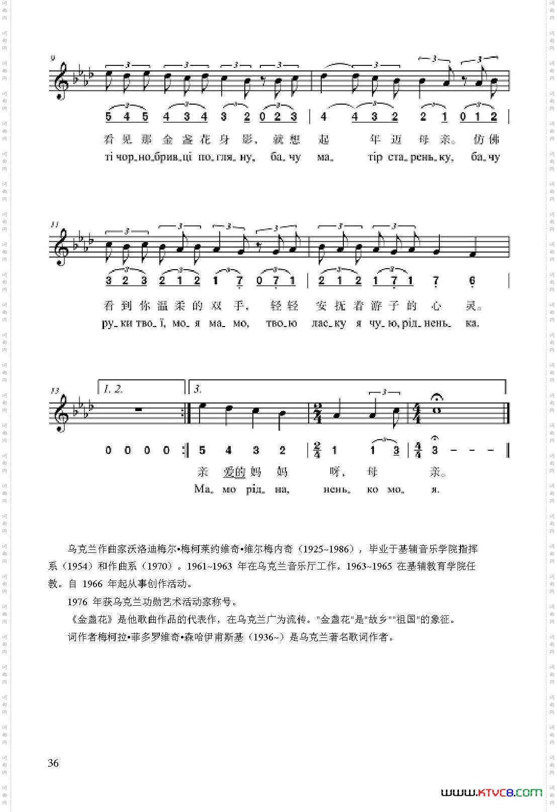 金盏花
