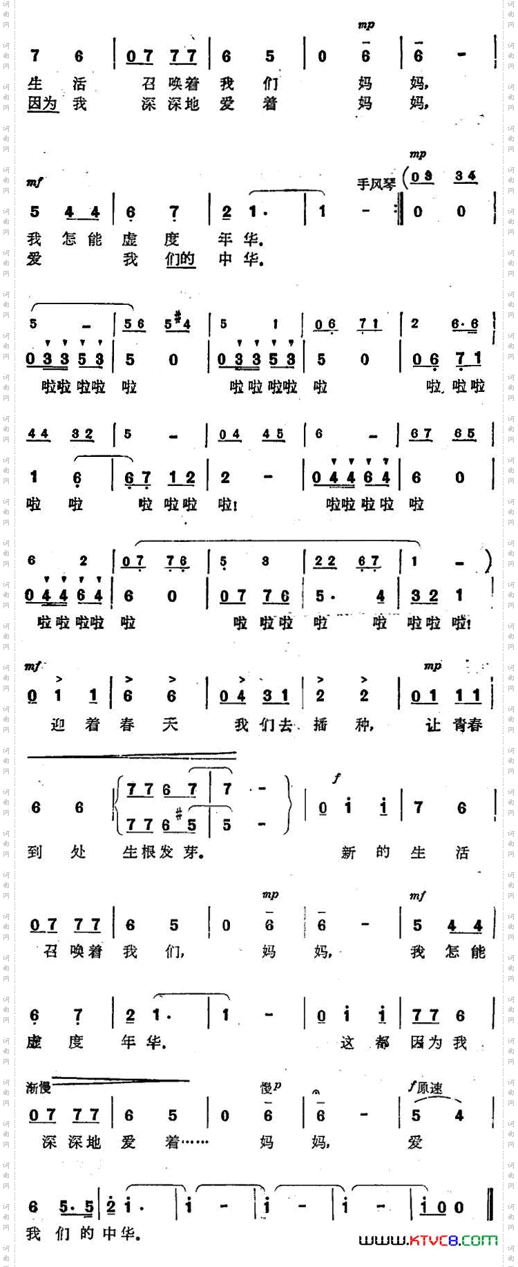 迎春花
