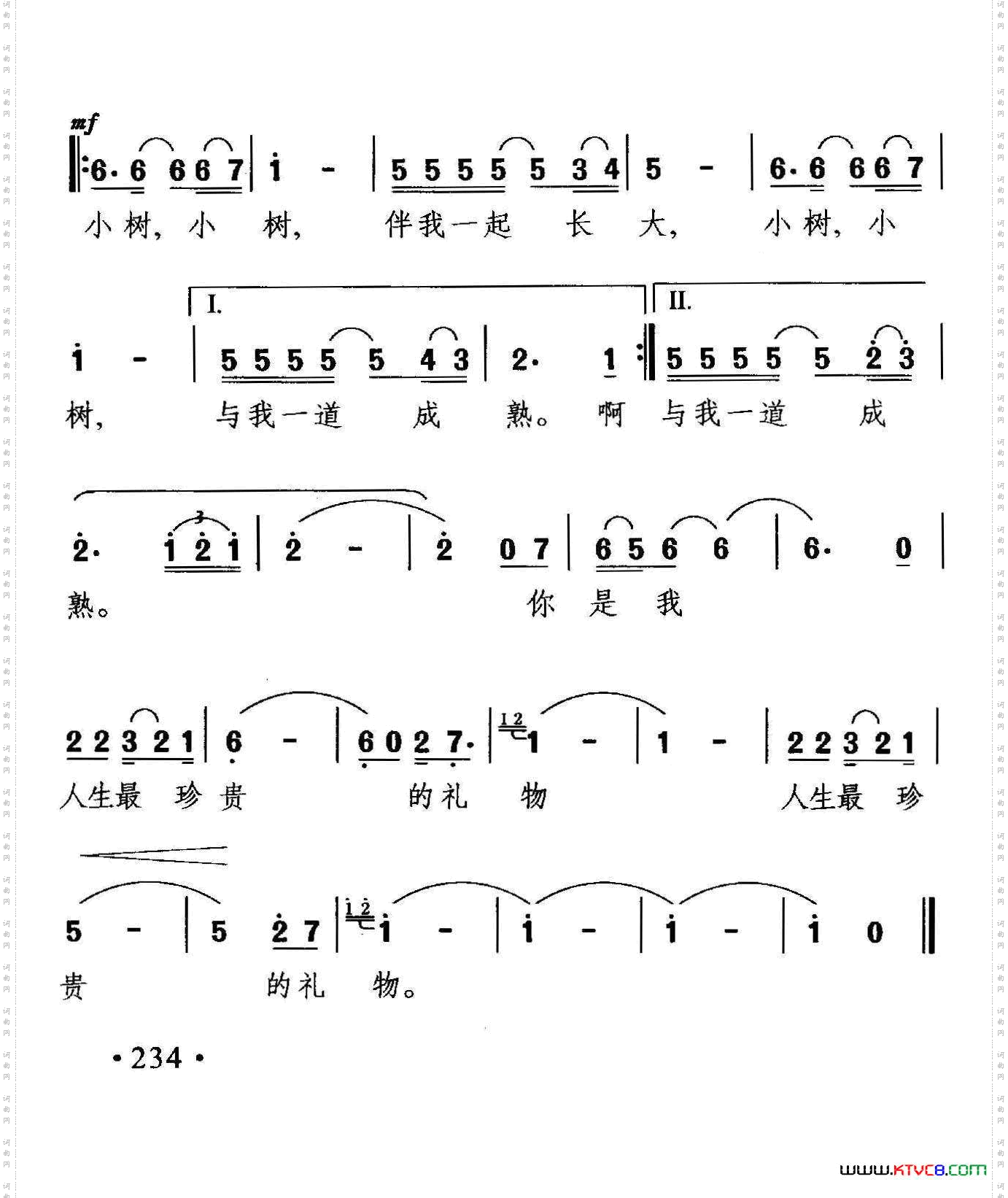 窗前的小树