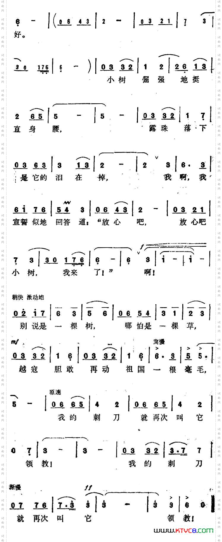 一棵小树
