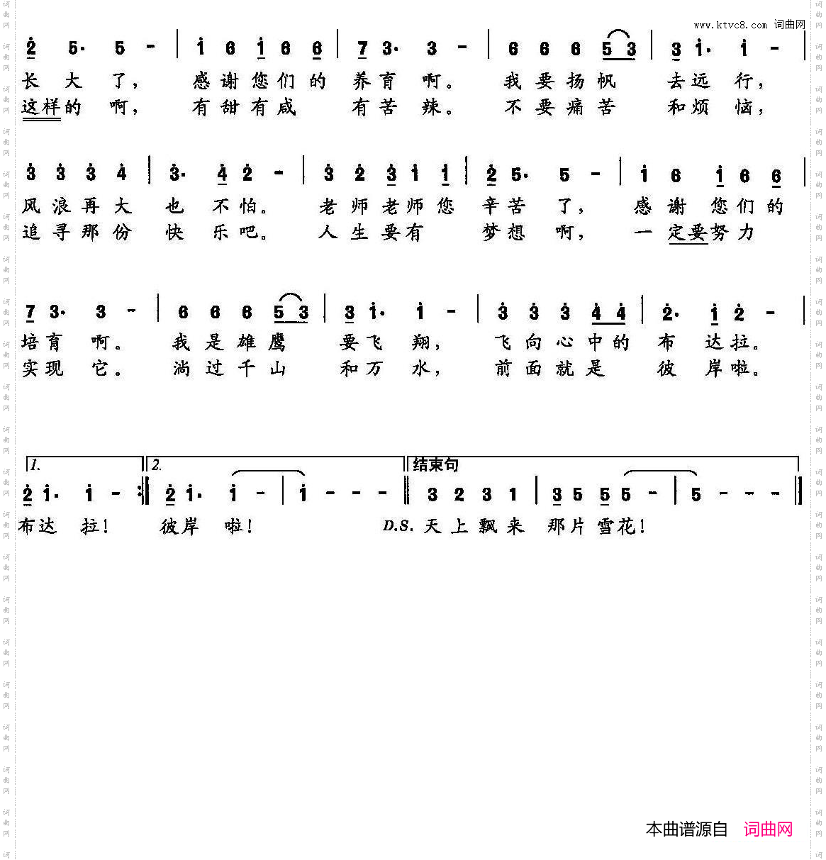致青春十八