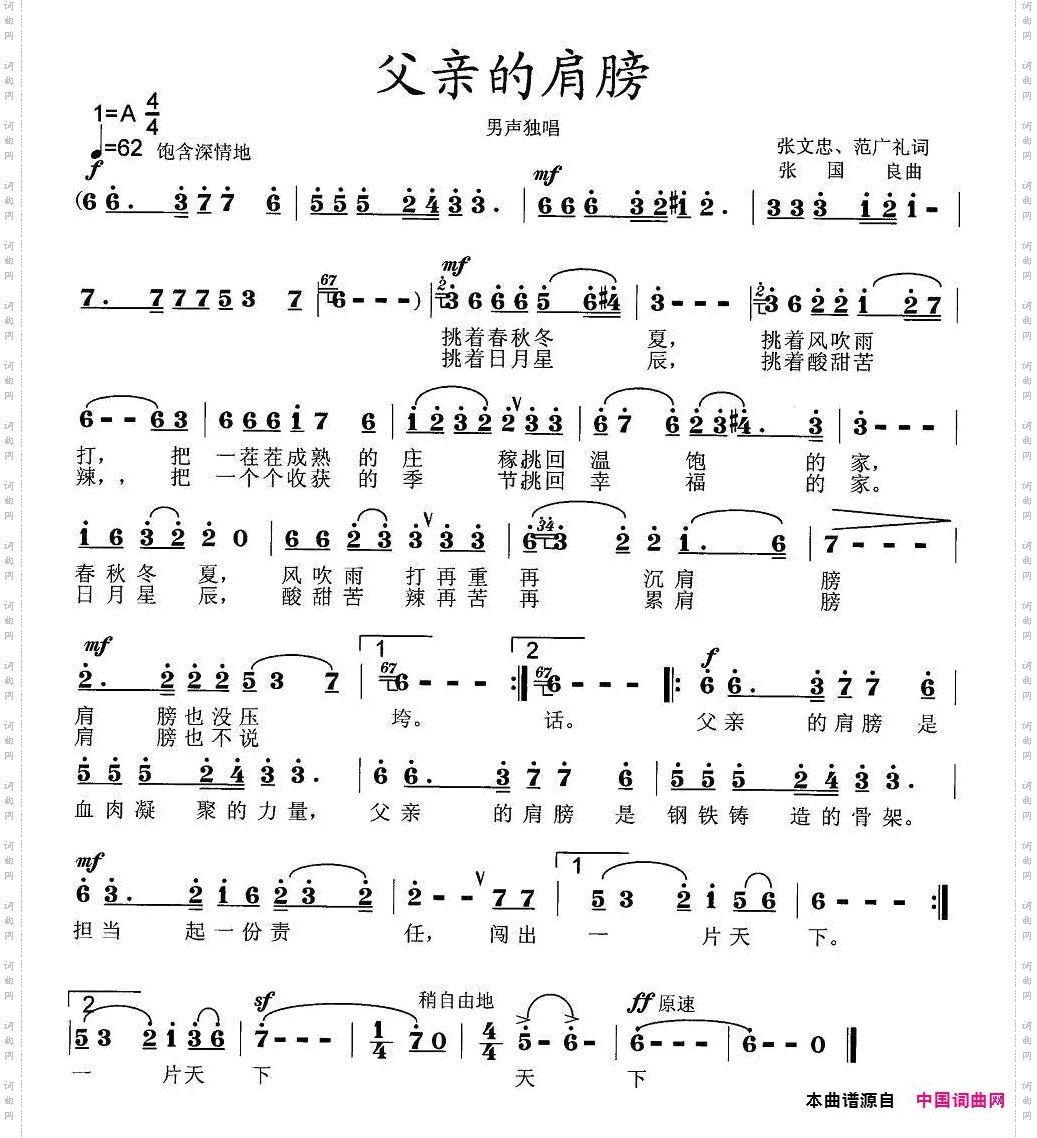 父亲的肩膀