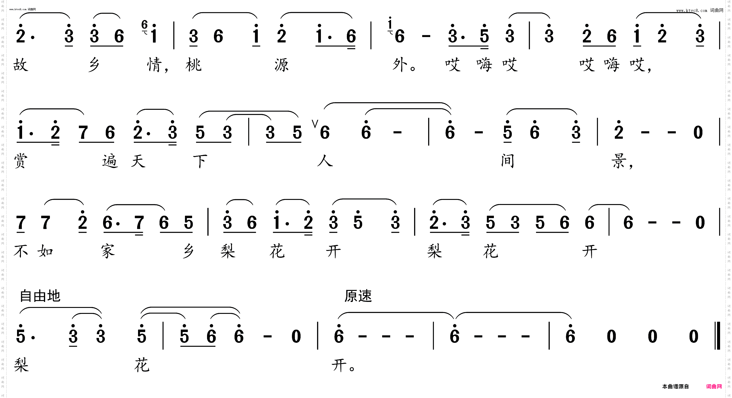 梨花开