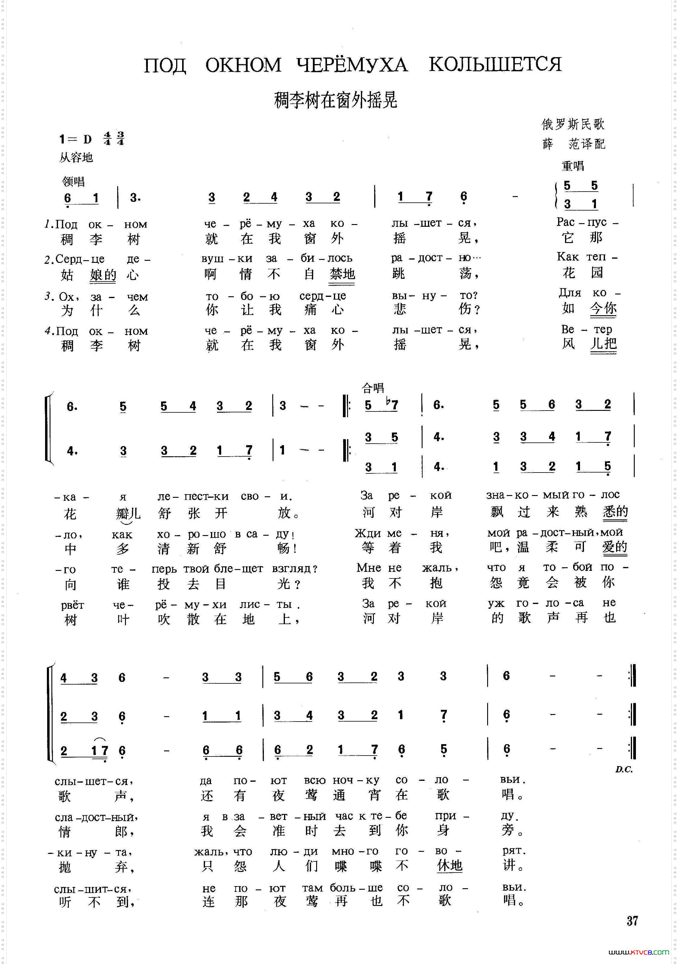 [俄]稠李树在窗外摇晃