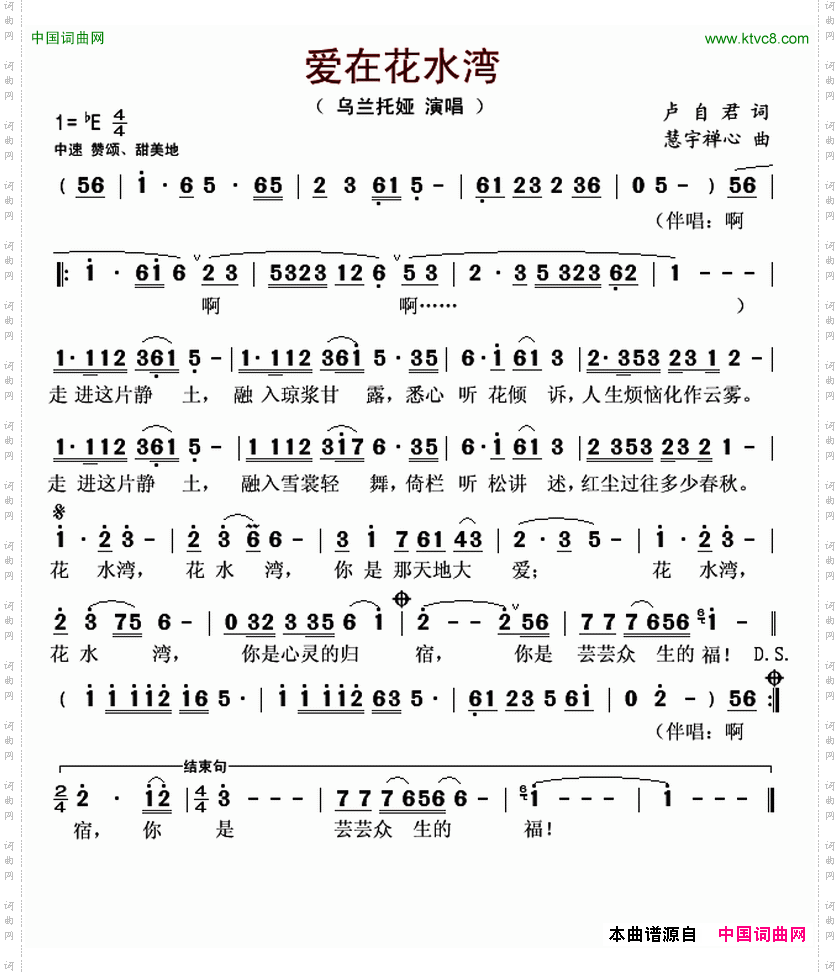 爱在花水湾