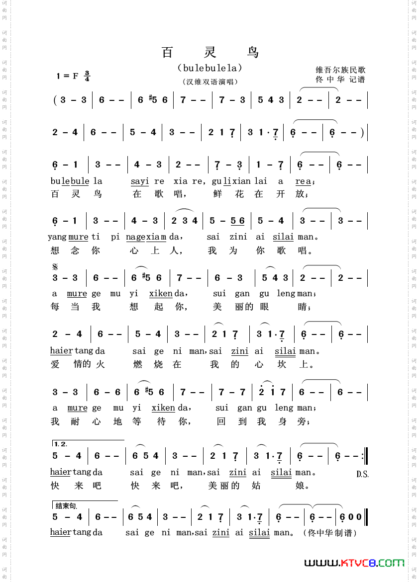百灵鸟汉维双语演唱