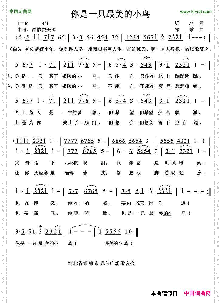 你是一只最美的小鸟