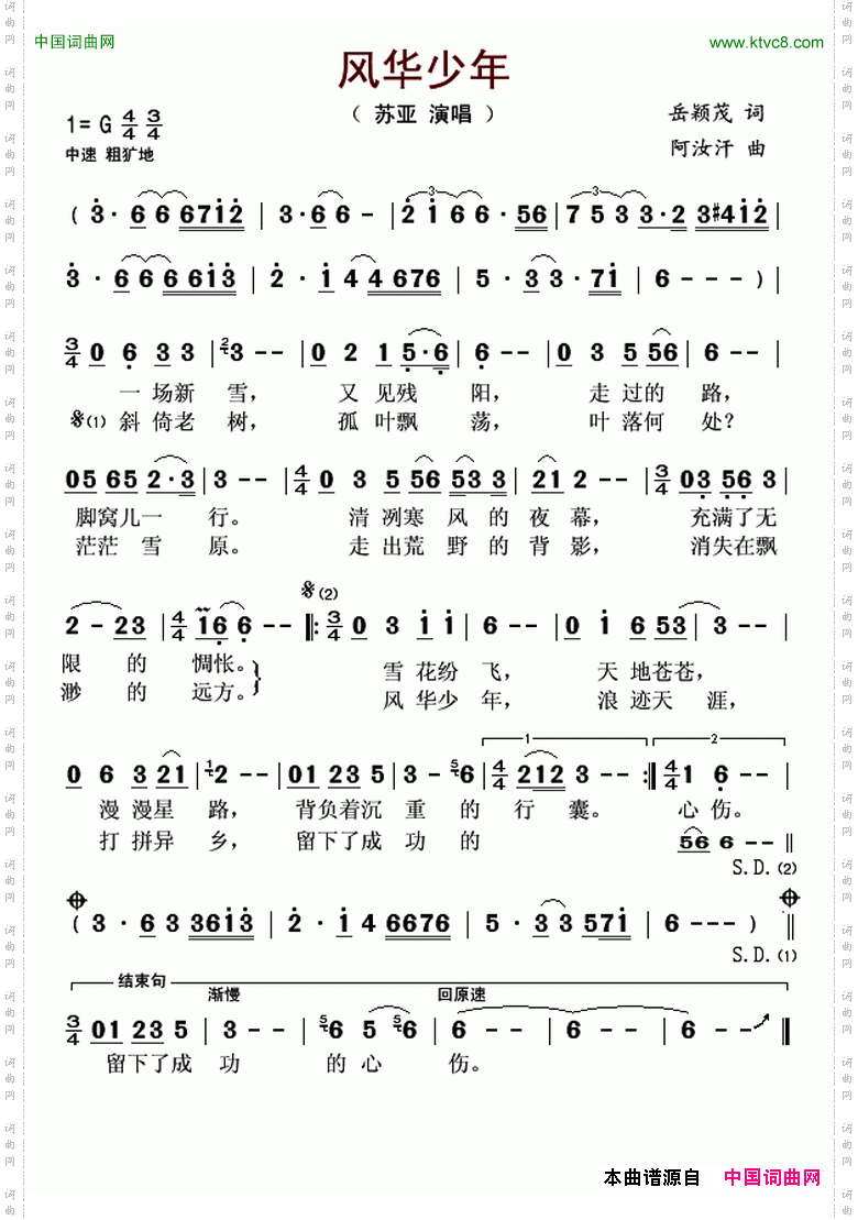 风华少年