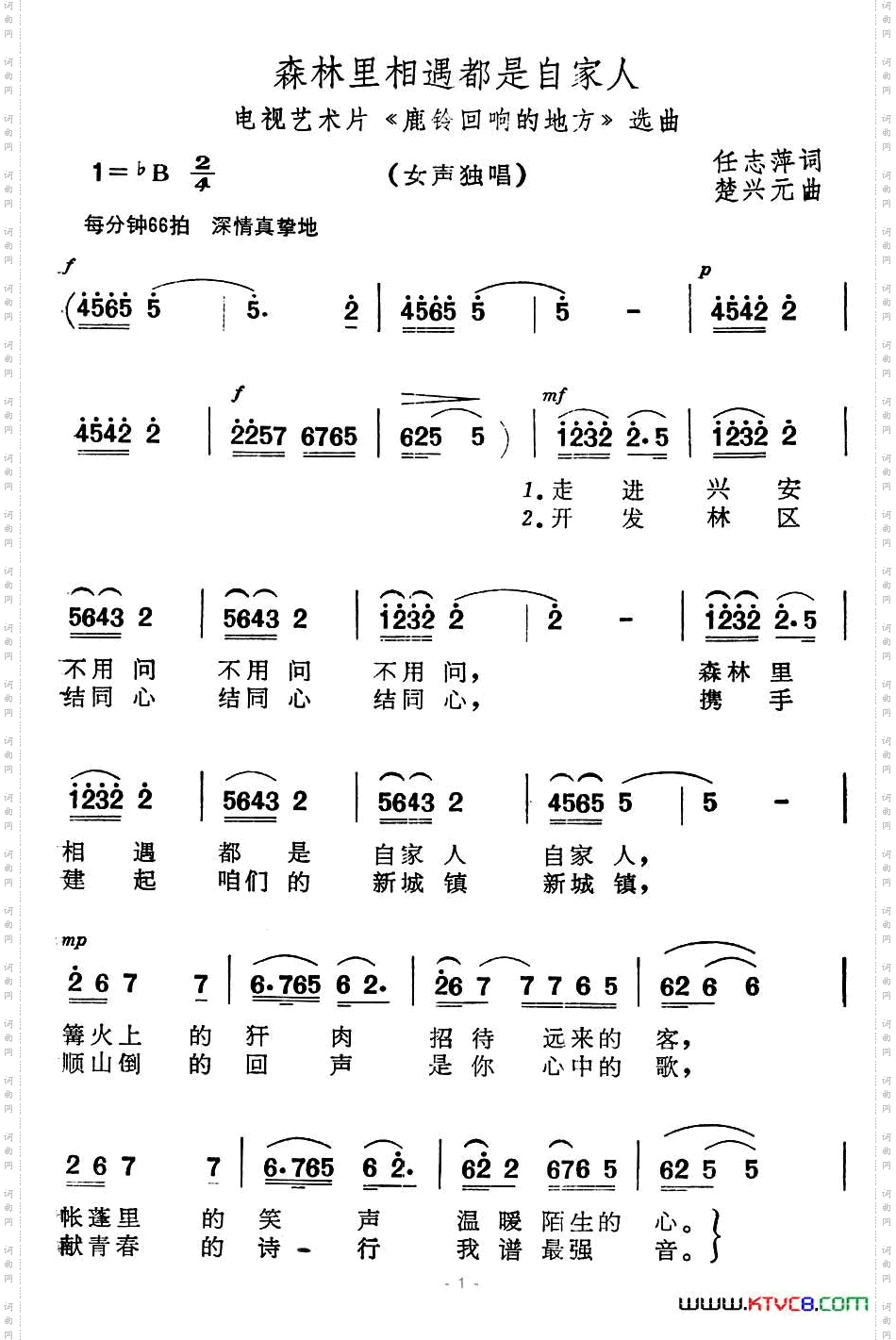 森林里相遇都是自家人电视艺术片《鹿铃回响起地方》选曲
