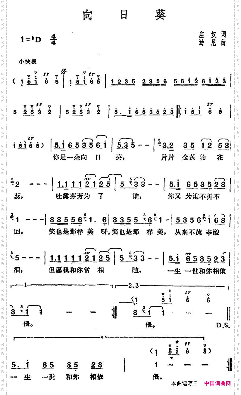 邓丽君演唱金曲：向日葵